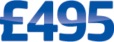 Professional websites from �495!